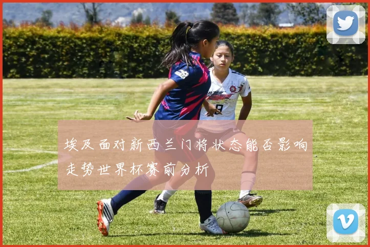埃及面对新西兰门将状态能否影响走势世界杯赛前分析
