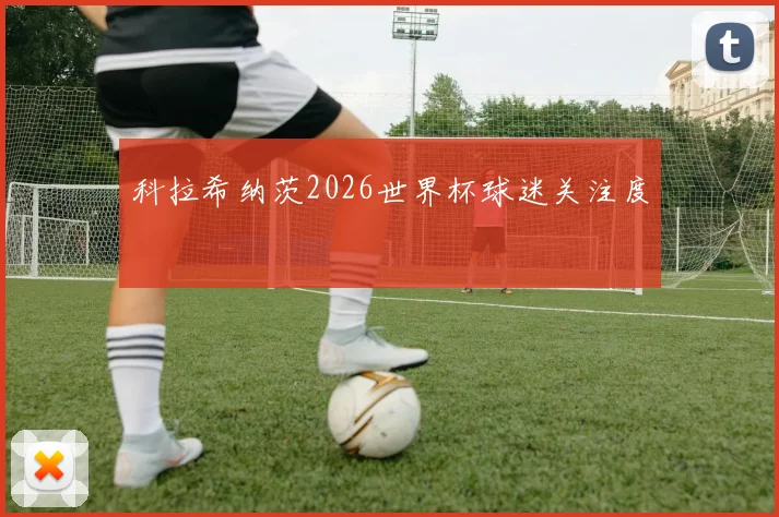 科拉希纳茨2026世界杯球迷关注度